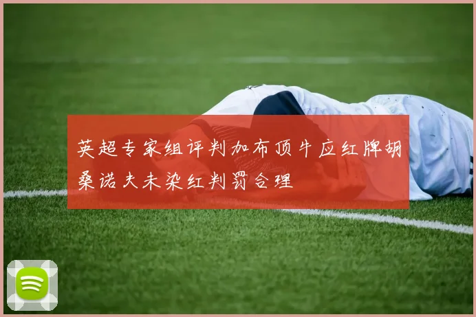 英超专家组评判加布顶牛应红牌胡桑诺夫未染红判罚合理